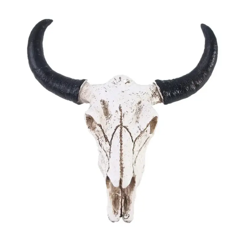 Longhorn Skull Stylish resin sculpture with cow horns tag1