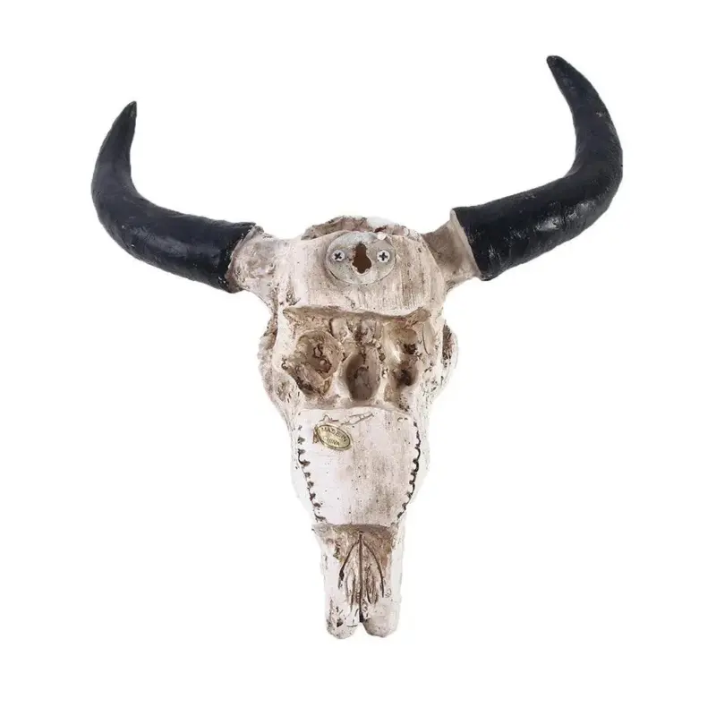 Longhorn Skull Stylish resin sculpture with cow horns tag1