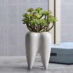 Lost Tooth Planter