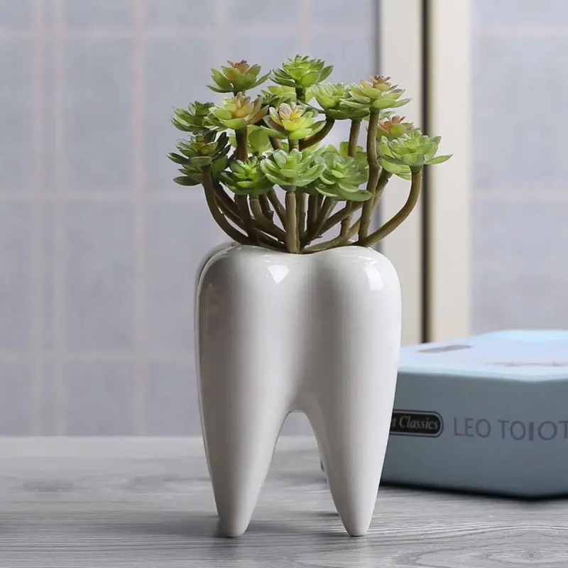 Lost Tooth Planter