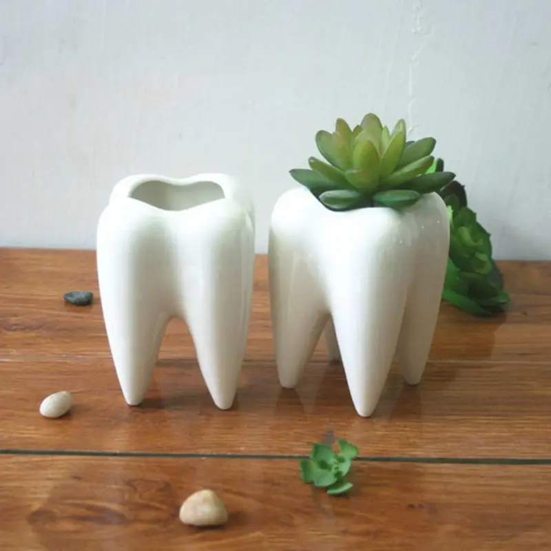 Lost Tooth Planter