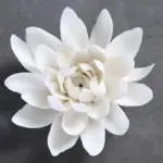 Lotus Incense Burner tag1