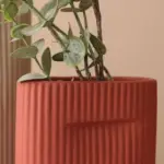 Lotus Vases