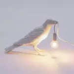 Lucky Crow Lamp tag1