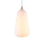 LumiLamp Stylish Pendant Lamp in Glass tag1