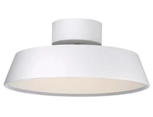 White 30CM
