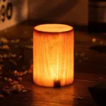 LumiWout LED Table Lamp with Battery and Touch Control tag1