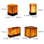 LumiWout LED Table Lamp with Battery and Touch Control tag1