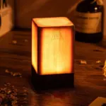 LumiWout LED Table Lamp with Battery and Touch Control tag1