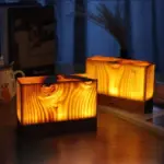 LumiWout LED Table Lamp with Battery and Touch Control tag1