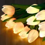 Luminous Tulips Mood Lighting tag1