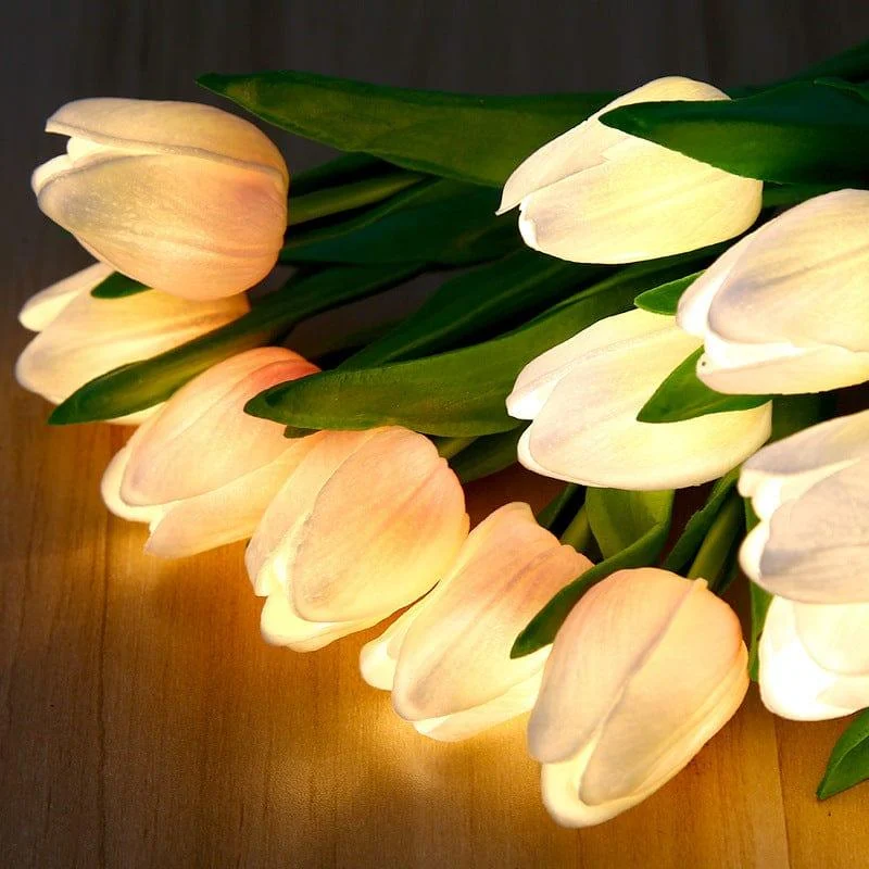 Luminous Tulips Mood Lighting -  - #tag1#