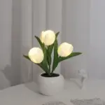 Luminous Tulips Mood Lighting tag1