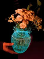 Luminous Vase