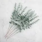 LushLeaf Artificial Eucalyptus Stems