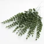 LushLeaf Artificial Eucalyptus Stems
