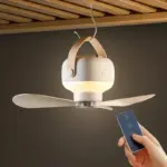 Luxurious Ceiling Fan with LED Lighting tag1