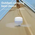 Luxurious Ceiling Fan with LED Lighting tag1