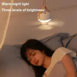 Luxurious Ceiling Fan with LED Lighting tag1