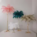 Luxury Nordic Ostrich Feather LED Floor Lamp tag1
