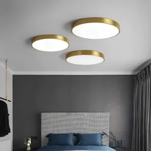 Homeko Ceiling Light ChromaCraft