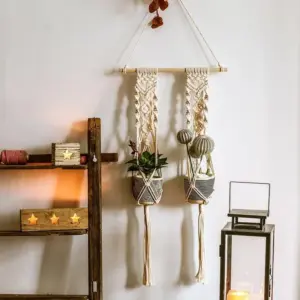 Macrame Plant Hanger