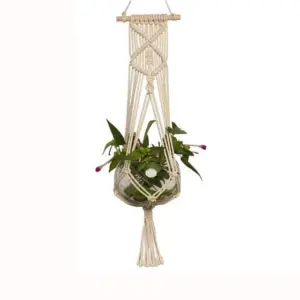 Macrame Plant Hangers