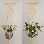 Macrame Plant Hangers