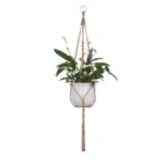 Macrame Plant Hangers