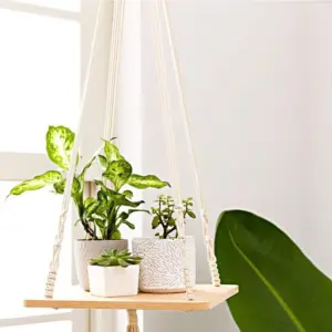 Macrame Shelf