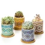 Mandala-Succulent-Ceramics-Plant-Flower-Pot-Classic-Round-Shape-Planter-Home-Garden-Office-Decoration Mandala Succulent Ceramics Plant Flower Pot Classic Round Shape Planter Home Garden Office Decoration