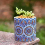 Mandala-Succulent-Ceramics-Plant-Flower-Pot-Classic-Round-Shape-Planter-Home-Garden-Office-Decoration_d98cc805-b40e-4e25-bf24-968478c9599c Mandala Succulent Ceramics Plant Flower Pot Classic Round Shape Planter Home Garden Office Decoration d98cc805 b40e 4e25 bf24 968478c9599c