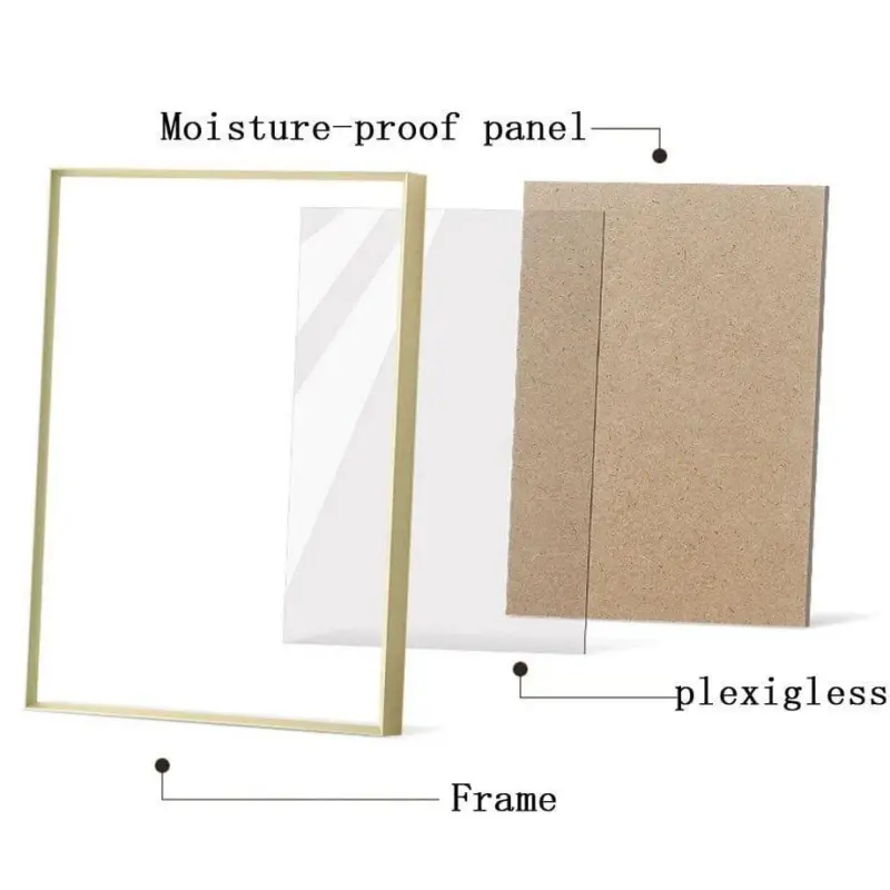 Marci Frame