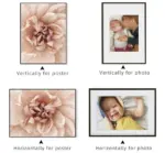 Marci Frame