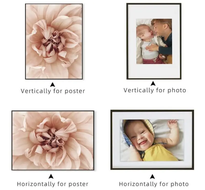 Marci Frame