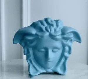 Medusa Human Face Vase