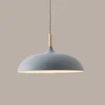 MetalandWoodPendantLampsinSoftPastelShades Homeko9