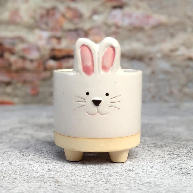 Mini Ceramic Cartoon Planter -