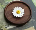 Mini Daisy Flower Incense Holder Tray Set