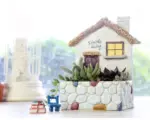 Mini Succulent Home