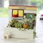 Mini Succulent Home