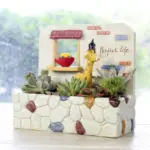 Mini Succulent Home