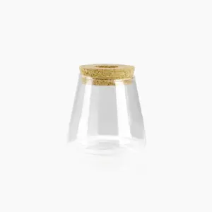 Mini Vintage Hydroponic Flower Glass Pot