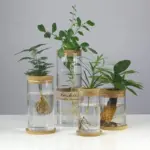 Mini Vintage Hydroponic Flower Glass Pot