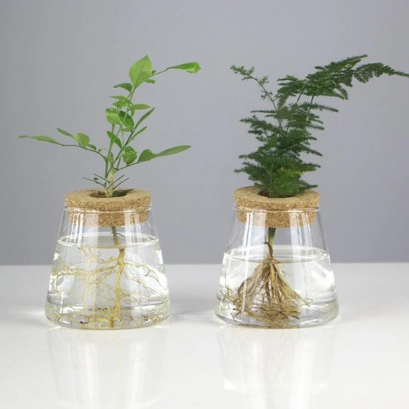 Mini Vintage Hydroponic Flower Glass Pot -