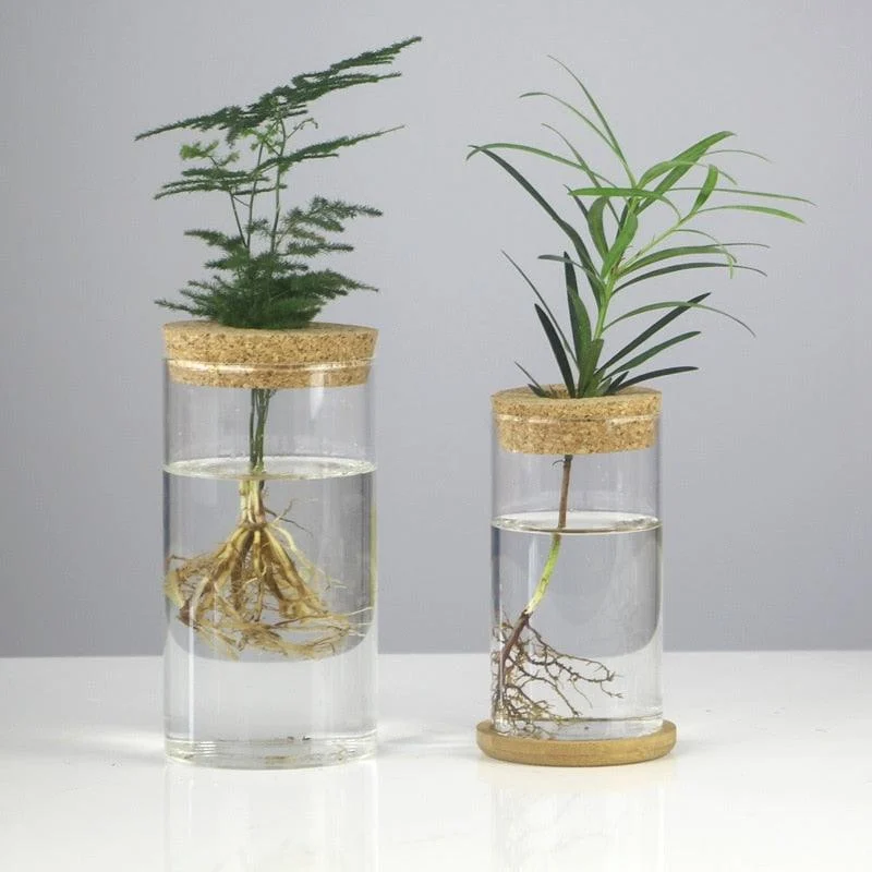 Mini Vintage Hydroponic Flower Glass Pot -