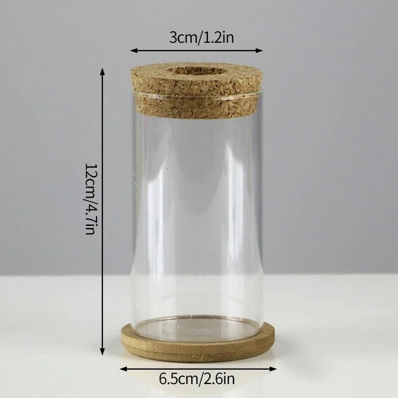 Mini Vintage Hydroponic Flower Glass Pot -
