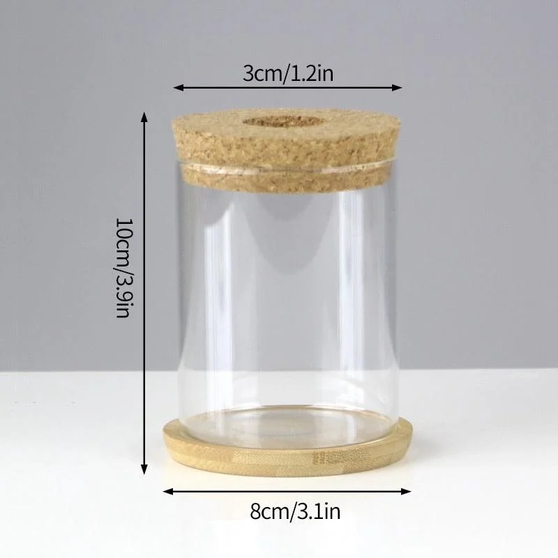 Mini Vintage Hydroponic Flower Glass Pot -