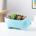 Miniature Cartoon Pots