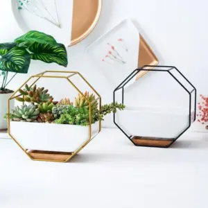 Octagonal Pot